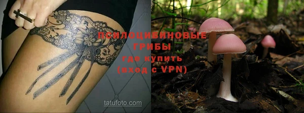 соль ск Козельск