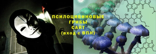 метамфетамин Козловка