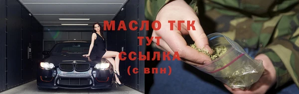соль ск Козельск