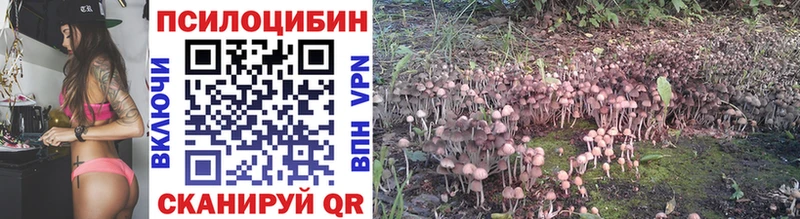 ОМГ ОМГ маркетплейс  Ноябрьск  Псилоцибиновые грибы MAGIC MUSHROOMS 