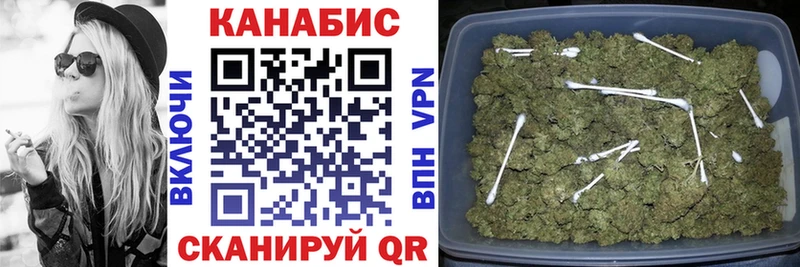Конопля гибрид  Ноябрьск 